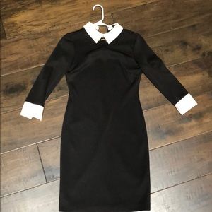 Ivanka Trump collared sheath dress size 2